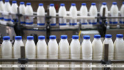 Минсельхозпрод установил максимальные цены на продукцию, поставляемую для переработки