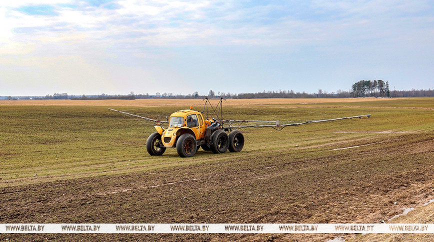 Аграрии Бешенковичского района о посевной: влага из почвы уходит быстро, стараемся не упустить ни дня