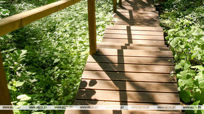 Таинственный остров и другие красоты природы. Как привлекает туристов заказник "Освейский"