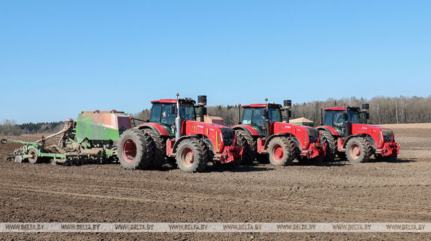 Spring field work in Vitebsk Oblast
