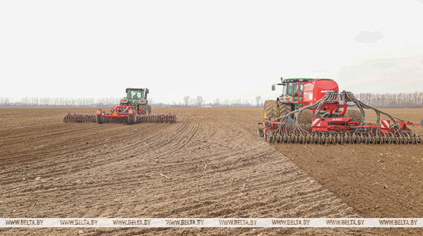 Early spring crops planted on over 17,000ha in Belarus