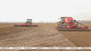 Early spring crops planted on over 17,000ha in Belarus