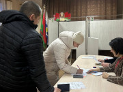 Досрочное голосование