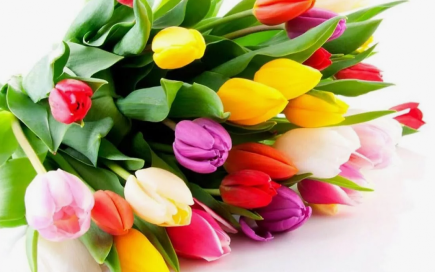 Дорогие женщины!
От всей души поздравляем вас с весенним праздником — таким же светлым, ярким и нежным, как и вы сами!

