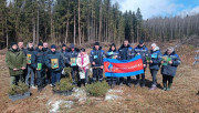 "Дай лесу новае жыццё!"