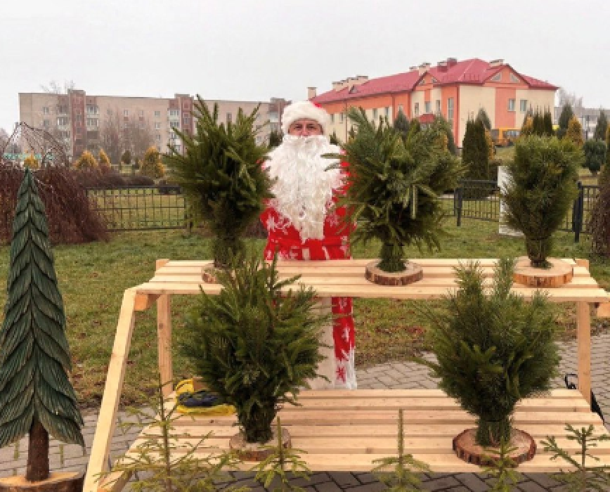 В Ушачах стартовали ёлочные базары