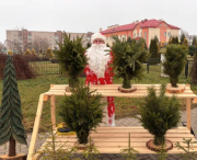 В Ушачах стартовали ёлочные базары