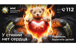 В Каменецком районе на пожаре погибли два ребенка