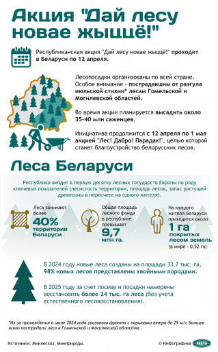 Республиканская акция «Дай лесу новае жыццё!»