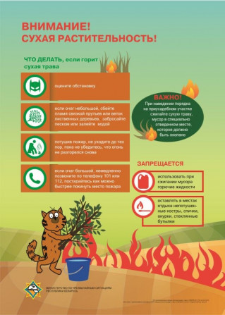 Внимание! МЧС напоминает: выжигание сухой растительности – запрещено!