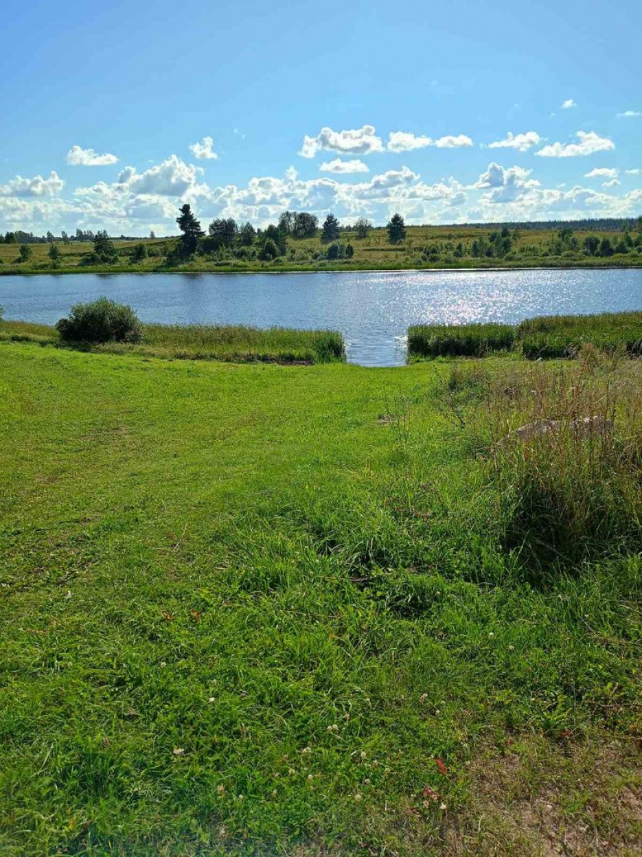 "Летний патруль"
