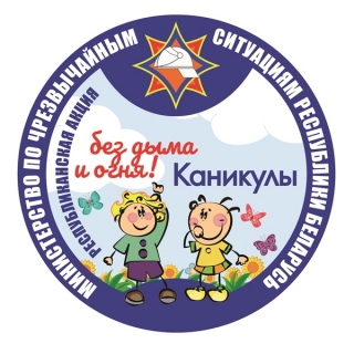 Каникулы без дыма и огня проведут школьники. Помогать им в этом будут спасатели