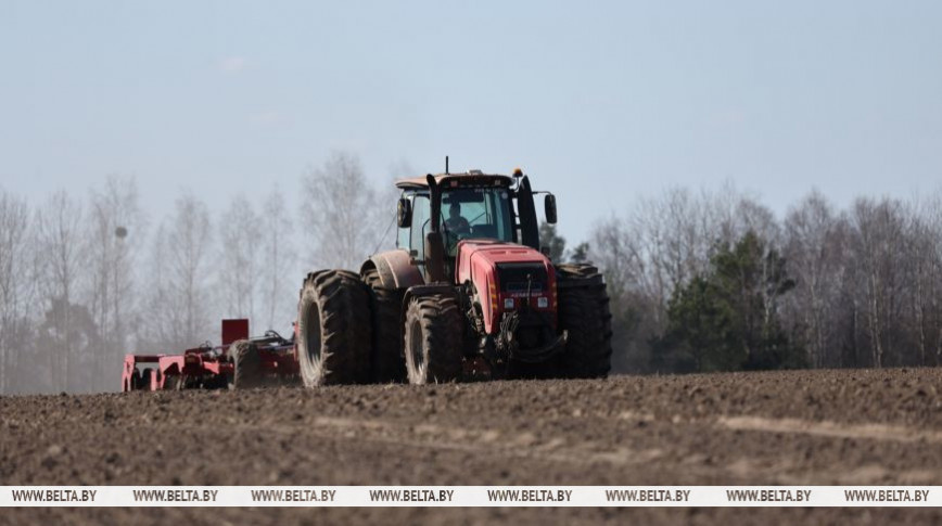 У Беларусі засеяна 37 працэнтаў плошчаў ранніх яравых культур